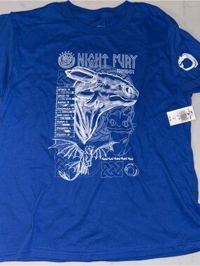 Universal Studios How to train your dragon toothless kids shirt